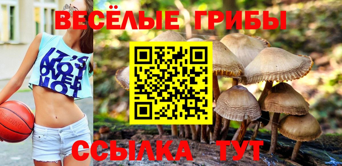 продажа наркотиков  Вход с VPN  Орехово-Зуево  Галлюциногенные грибы MAGIC MUSHROOMS 