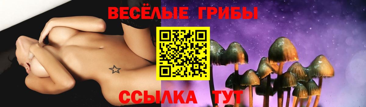 Псилоцибиновые грибы GOLDEN TEACHER Орехово-Зуево